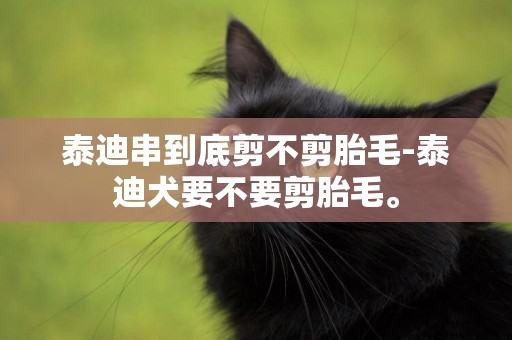 泰迪串到底剪不剪胎毛-泰迪犬要不要剪胎毛。