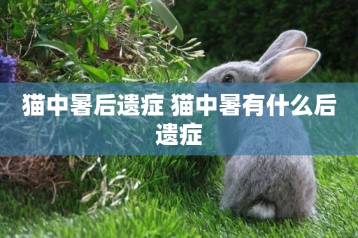 貓中暑后遺癥 貓中暑有什么后遺癥