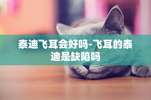 泰迪飛耳會好嗎-飛耳的泰迪是缺陷嗎