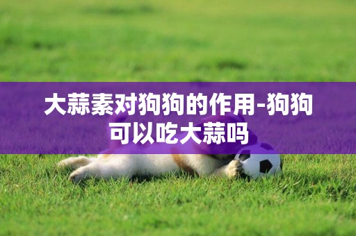 大蒜素對狗狗的作用-狗狗可以吃大蒜嗎
