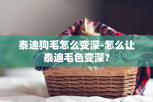 泰迪狗毛怎么變深-怎么讓泰迪毛色變深？