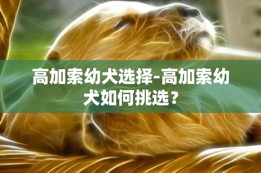 高加索幼犬選擇-高加索幼犬如何挑選？
