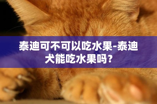 泰迪可不可以吃水果-泰迪犬能吃水果嗎？