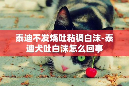 泰迪不發燒吐粘稠白沫-泰迪犬吐白沫怎么回事