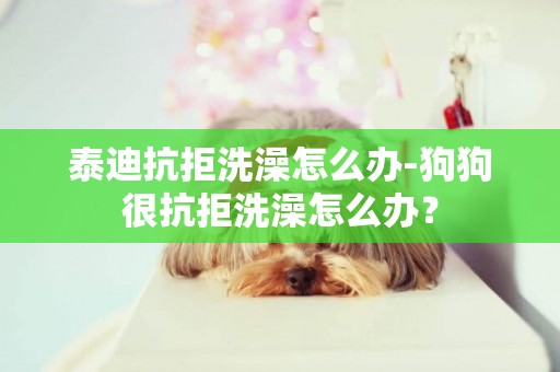 泰迪抗拒洗澡怎么辦-狗狗很抗拒洗澡怎么辦？