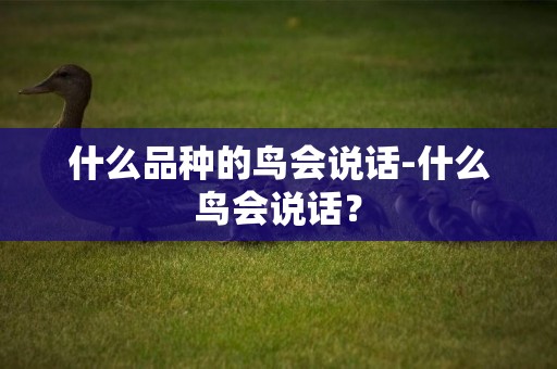 什么品種的鳥會說話-什么鳥會說話？