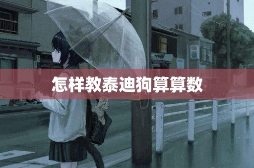 怎樣教泰迪狗算算數