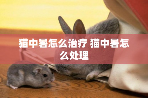 貓中暑怎么治療 貓中暑怎么處理