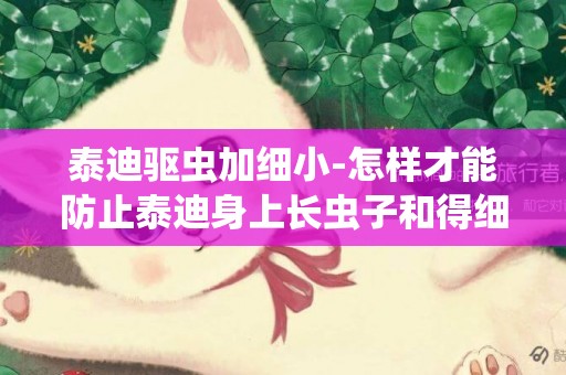 泰迪驅蟲加細小-怎樣才能防止泰迪身上長蟲子和得細小啊？
