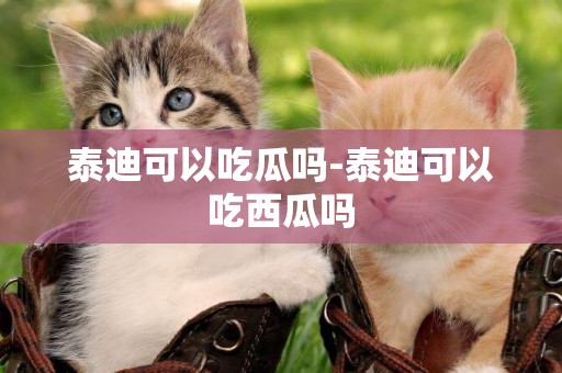 泰迪可以吃瓜嗎-泰迪可以吃西瓜嗎