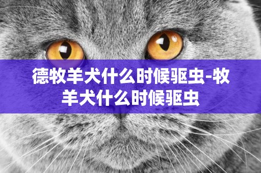 德牧羊犬什么時候驅蟲-牧羊犬什么時候驅蟲