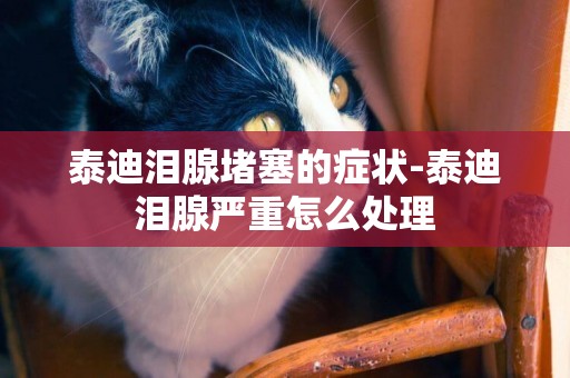 泰迪淚腺堵塞的癥狀-泰迪淚腺嚴重怎么處理