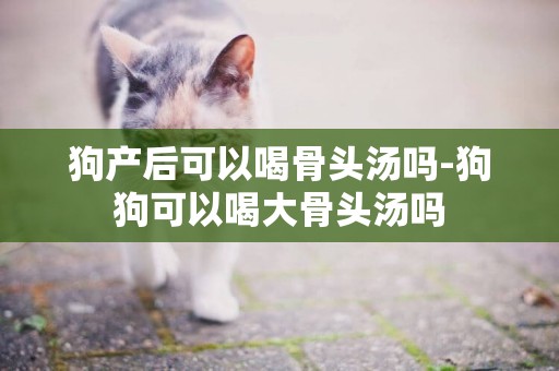 狗產后可以喝骨頭湯嗎-狗狗可以喝大骨頭湯嗎