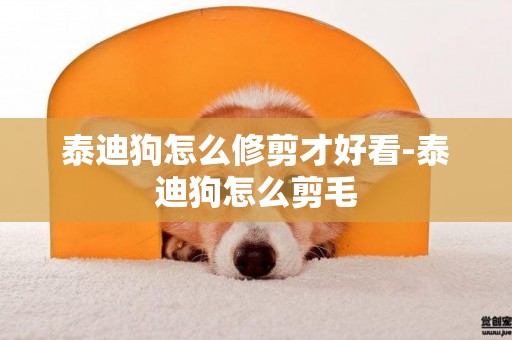 泰迪狗怎么修剪才好看-泰迪狗怎么剪毛