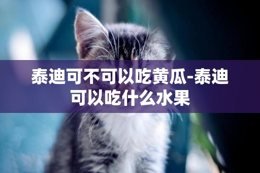泰迪可不可以吃黃瓜-泰迪可以吃什么水果
