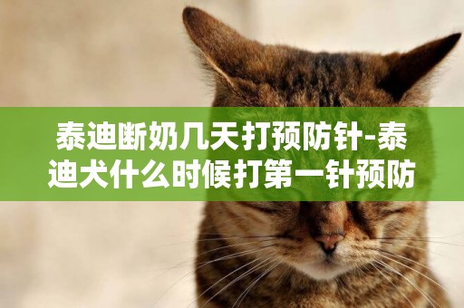 泰迪斷奶幾天打預防針-泰迪犬什么時候打第一針預防針