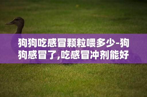 狗狗吃感冒顆粒喂多少-狗狗感冒了,吃感冒沖劑能好嗎