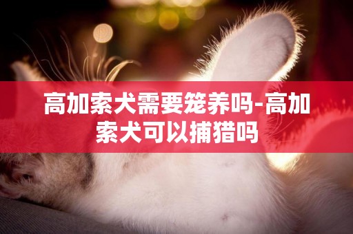 高加索犬需要籠養嗎-高加索犬可以捕獵嗎