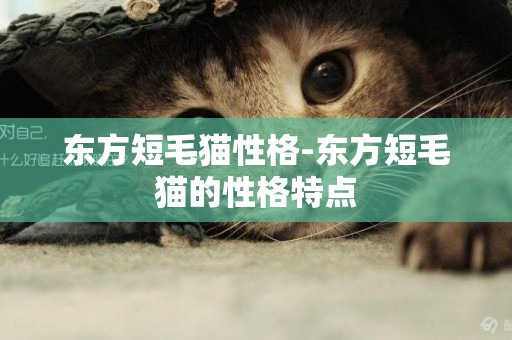 東方短毛貓性格-東方短毛貓的性格特點