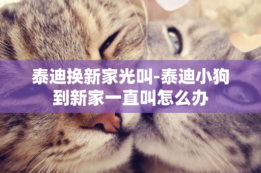 泰迪換新家光叫-泰迪小狗到新家一直叫怎么辦
