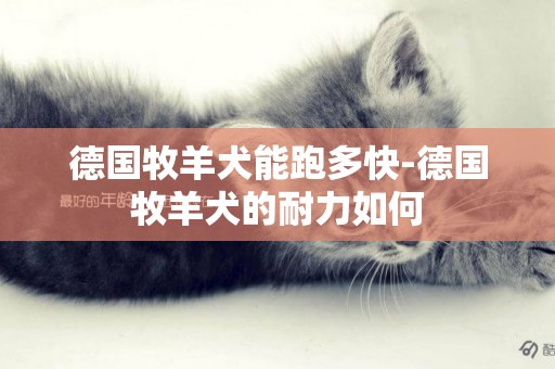 德國牧羊犬能跑多快-德國牧羊犬的耐力如何