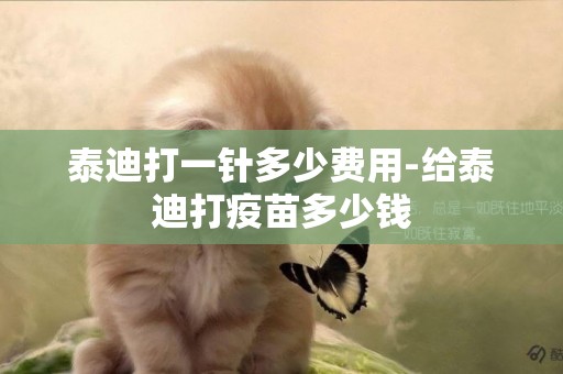 泰迪打一針多少費用-給泰迪打疫苗多少錢