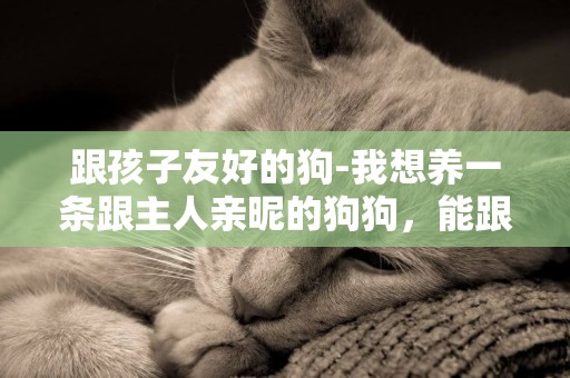 跟孩子友好的狗-我想養一條跟主人親昵的狗狗，能跟孩子作伴的！