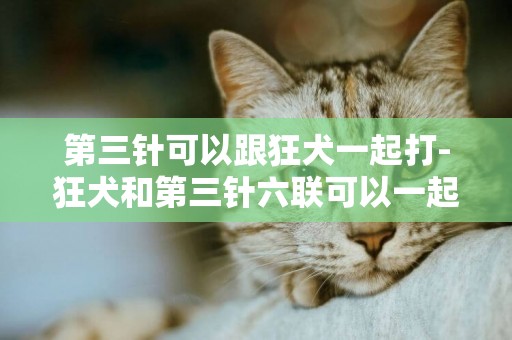 第三針可以跟狂犬一起打-狂犬和第三針六聯可以一起打?