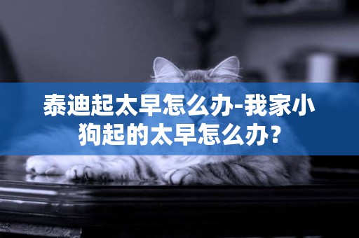 泰迪起太早怎么辦-我家小狗起的太早怎么辦？