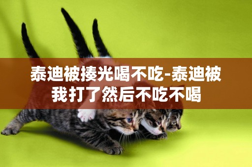 泰迪被揍光喝不吃-泰迪被我打了然后不吃不喝