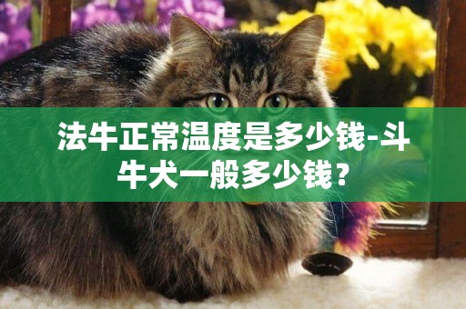 法牛正常溫度是多少錢-斗牛犬一般多少錢？