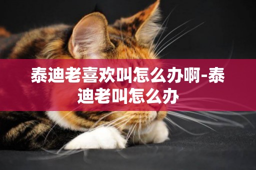 泰迪老喜歡叫怎么辦啊-泰迪老叫怎么辦