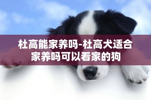 杜高能家養嗎-杜高犬適合家養嗎可以看家的狗