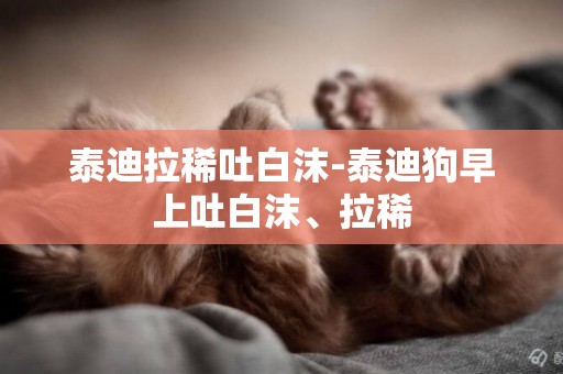 泰迪拉稀吐白沫-泰迪狗早上吐白沫、拉稀