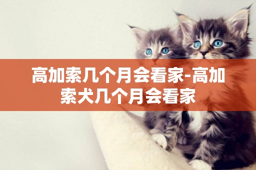 高加索幾個月會看家-高加索犬幾個月會看家