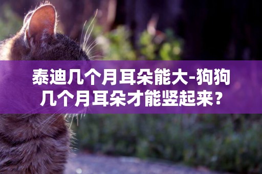 泰迪幾個月耳朵能大-狗狗幾個月耳朵才能豎起來？