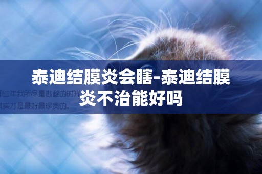泰迪結膜炎會瞎-泰迪結膜炎不治能好嗎