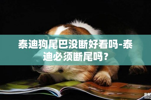 泰迪狗尾巴沒斷好看嗎-泰迪必須斷尾嗎？