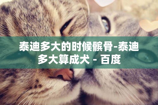 泰迪多大的時候髕骨-泰迪多大算成犬 - 百度