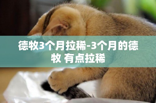 德牧3個月拉稀-3個月的德牧 有點拉稀
