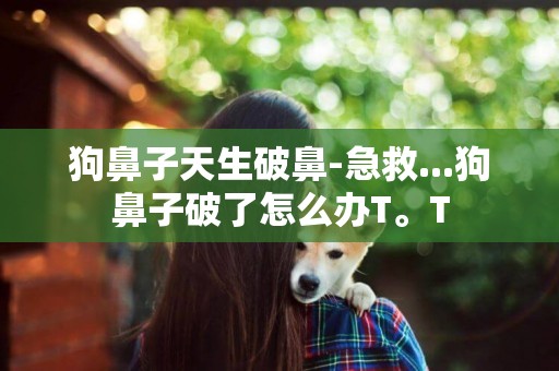 狗鼻子天生破鼻-急救...狗鼻子破了怎么辦T。T