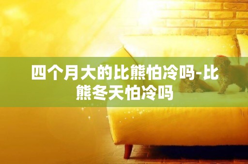 四個月大的比熊怕冷嗎-比熊冬天怕冷嗎