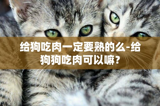 給狗吃肉一定要熟的么-給狗狗吃肉可以嘛？