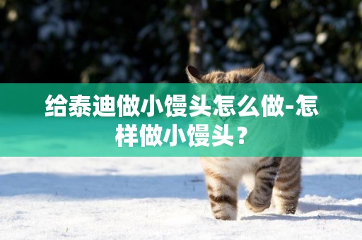 給泰迪做小饅頭怎么做-怎樣做小饅頭？