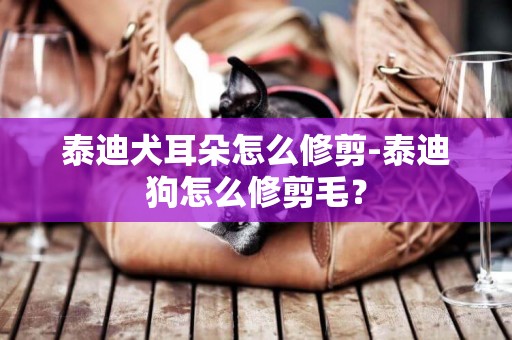 泰迪犬耳朵怎么修剪-泰迪狗怎么修剪毛？