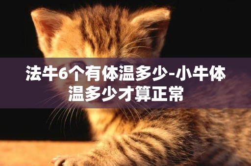法牛6個有體溫多少-小牛體溫多少才算正常