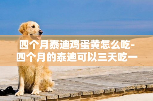 四個月泰迪雞蛋黃怎么吃-四個月的泰迪可以三天吃一個雞蛋黃嗎