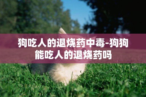 狗吃人的退燒藥中毒-狗狗能吃人的退燒藥嗎