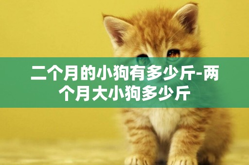 二個月的小狗有多少斤-兩個月大小狗多少斤