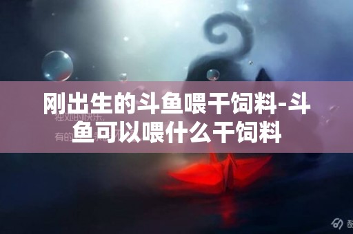 剛出生的斗魚喂干飼料-斗魚可以喂什么干飼料